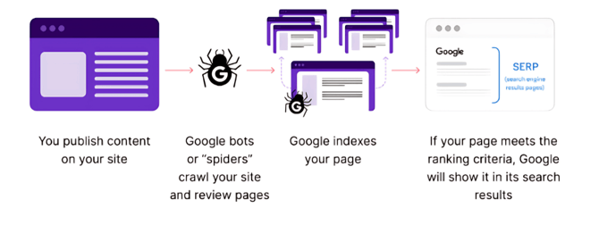 Google Spiders